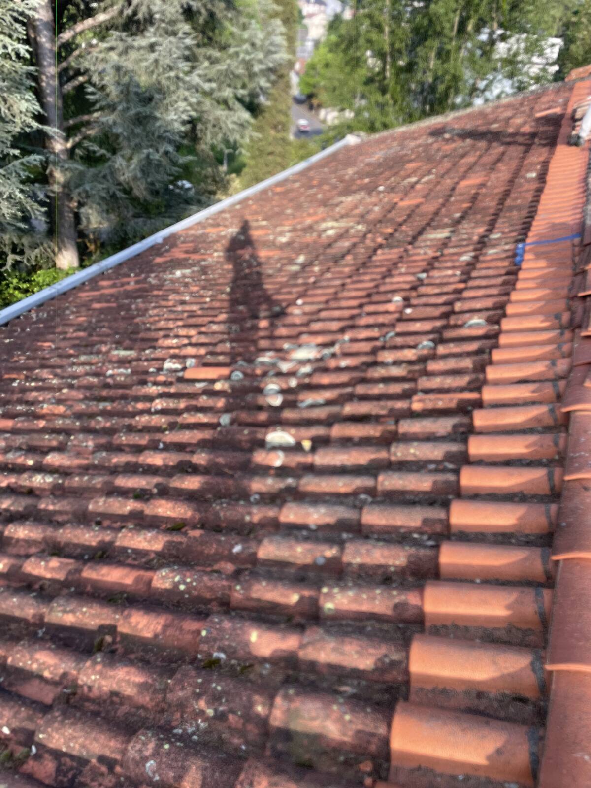 Toiture envahie par le lichen avant nettoyage à Pau